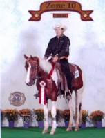 Cheros Checkers by Cherokees Trophy out of Zips Zip.  Winner of the NCC Junior Reining and Juniour reining at the 2008 APHA Zone 10 show. For Sale.  Picture by Artos Photography
